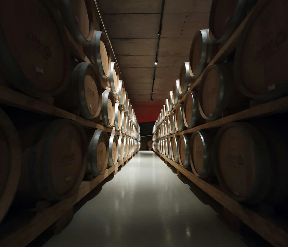 Rows of oak barrels aging wine in a cellar. Photo by Paolo Boaretto on Unsplash