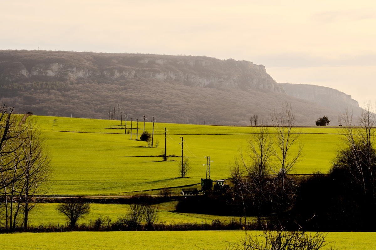 Green fields with trees and distant mountains in Bulgaria. Photo by Viktor Danov on Unsplash