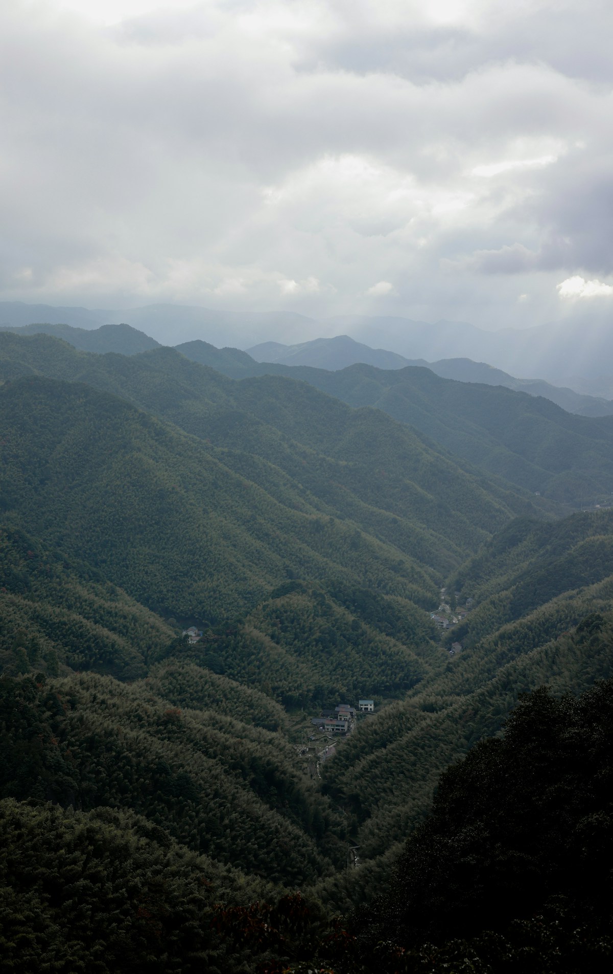 The Dragon Uncorked: Inside China's Rapidly Maturing Wine Industry