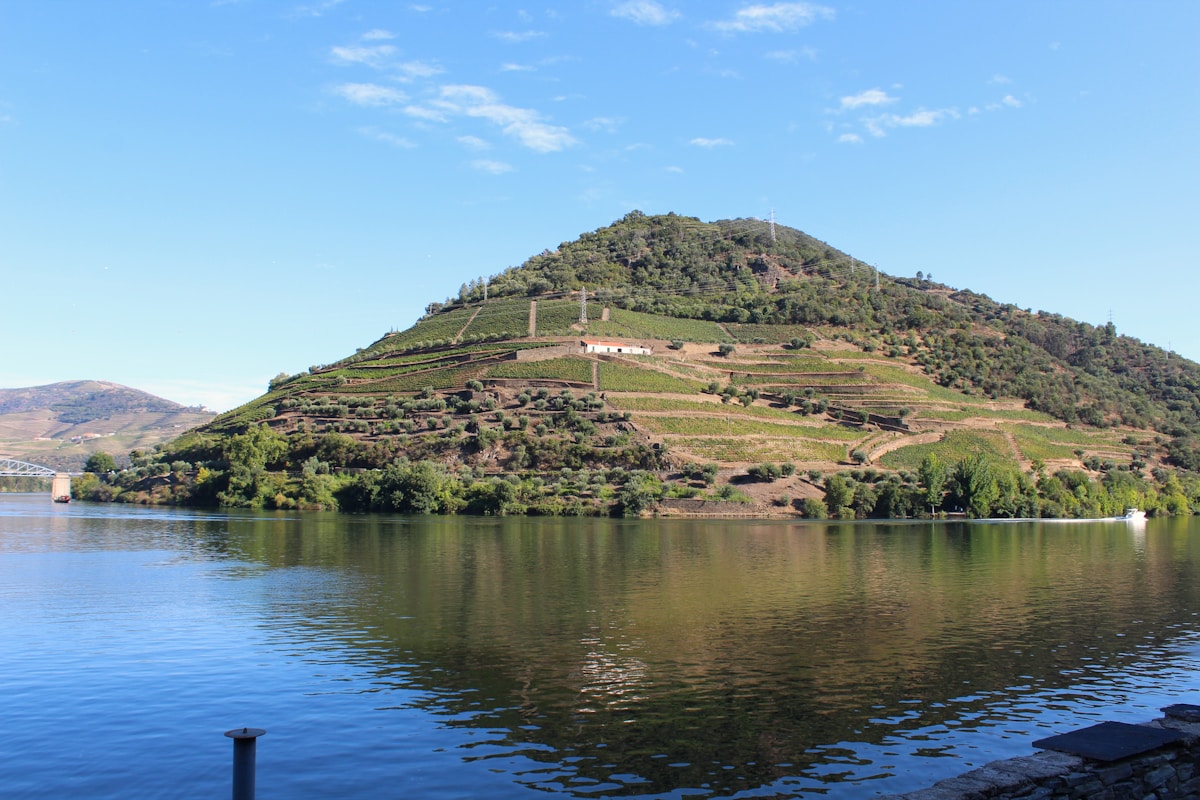 The Douro River winding through steep, terraced hillsides in the heart of Portugal's wine country
