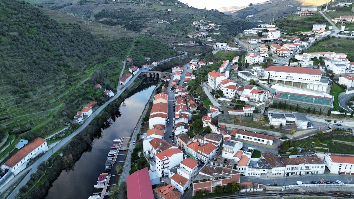 The Douro Valley & Port Wine: Tradition, Terroir, and Transformation