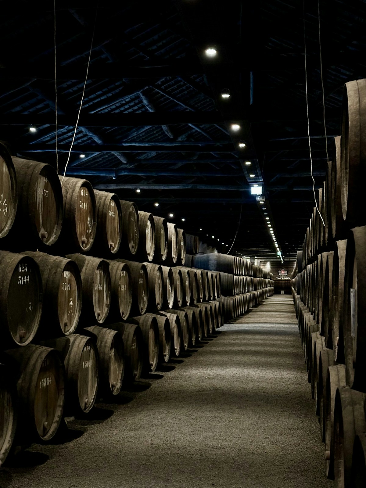 Rows of aged wooden barrels in a dimly lit Port wine cellar in Vila Nova de Gaia